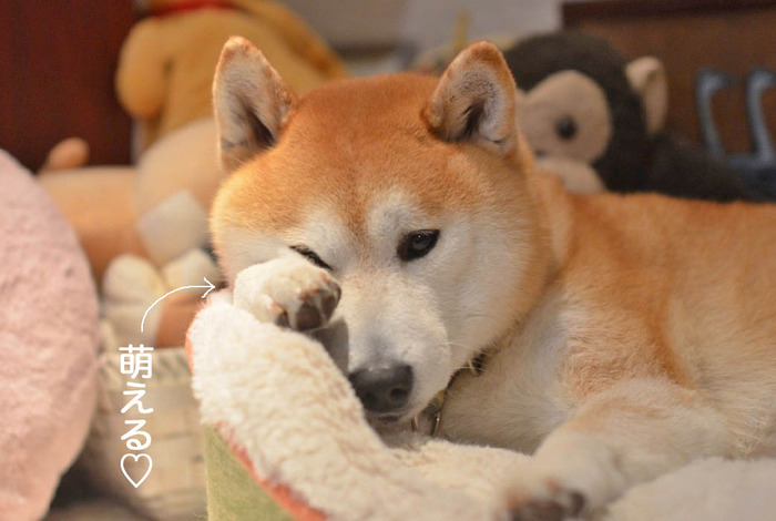 23日ブログ3