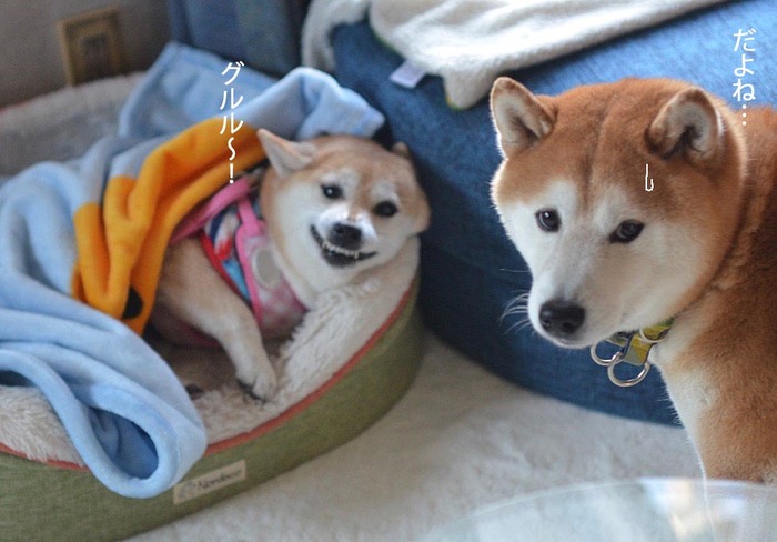 24日ブログ5