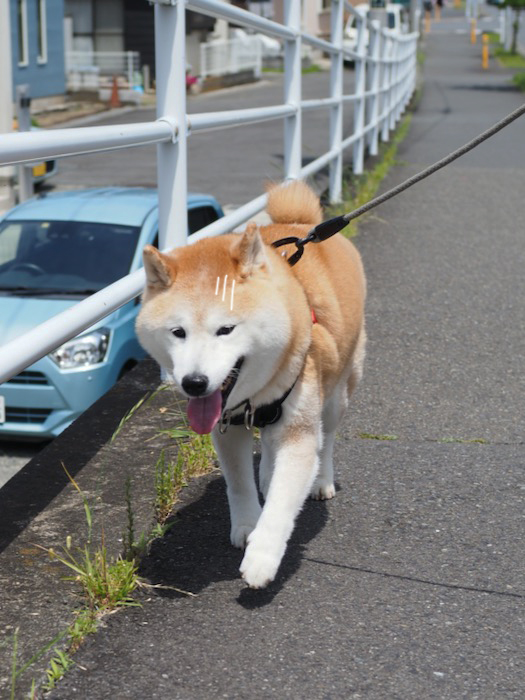16日夕ブログ2