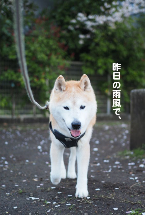 3日ブログ２