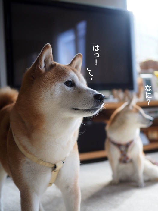 26日ブログ６