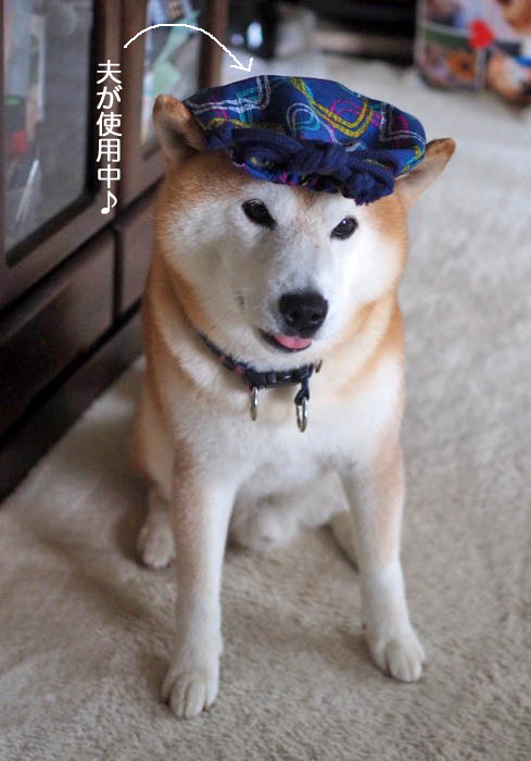17日ブログ２