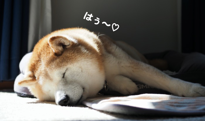 23日ブログ４