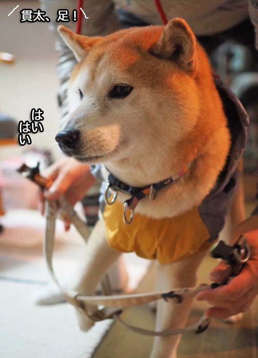 12日夜ブログ３
