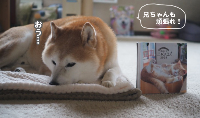 10日ブログ８