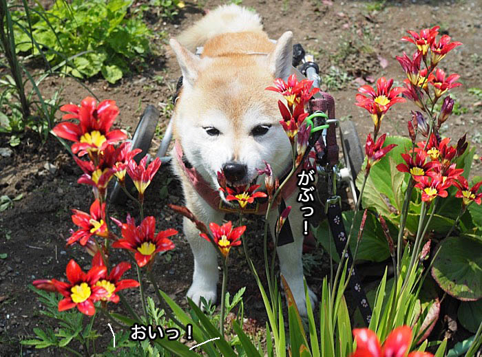 21日午後ブログ４