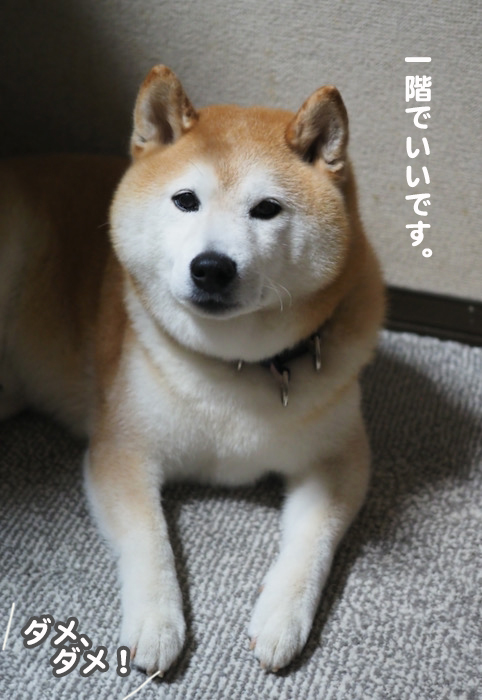 7日夜ブログ2