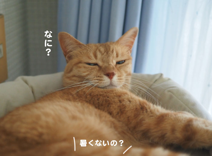 10日夕ブログ６