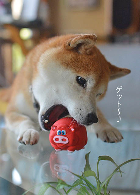 25日ブログ7