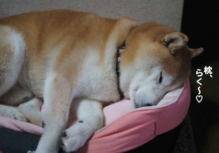 15日夜ブログ５