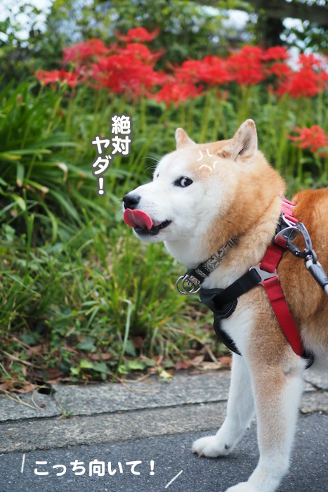 28日ブログ３