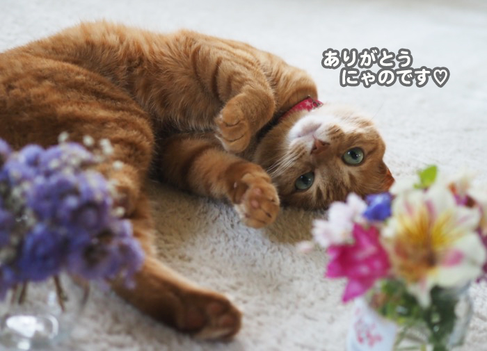 6日夕ブログ2