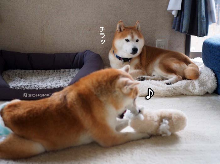 12日ブログ６