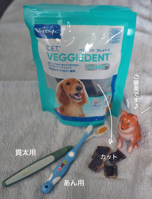 6日ブログ２