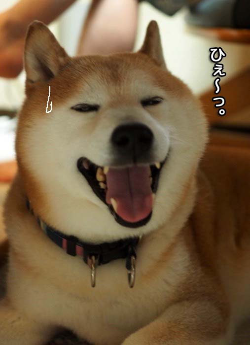24日夕ブログ１３