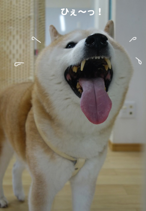 7日夕ブログ６