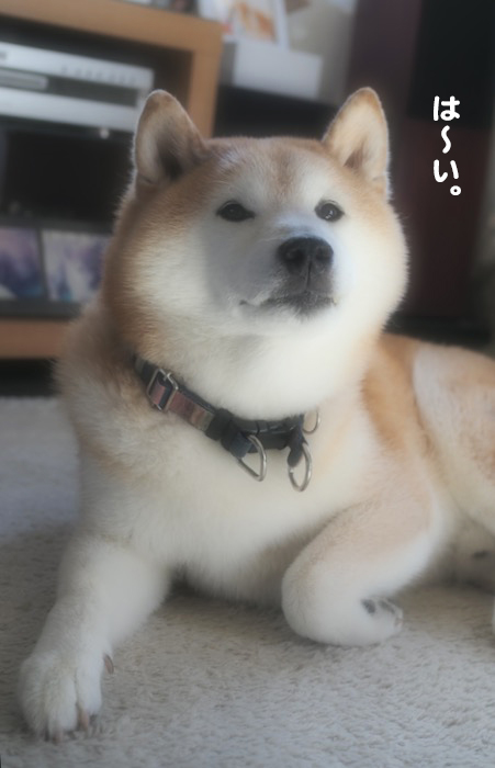 3日ブログ１