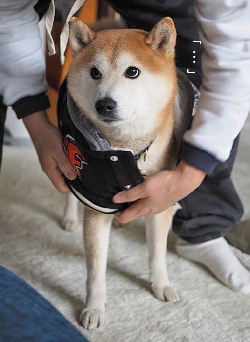31日午後ブログ9