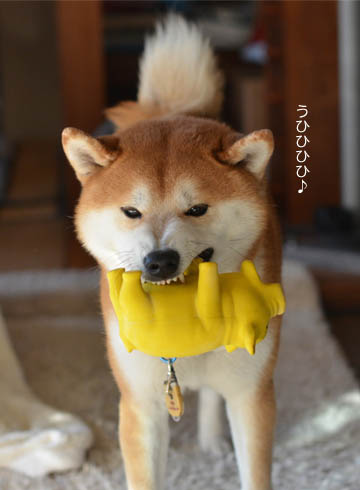 25日ブログ6.jpg