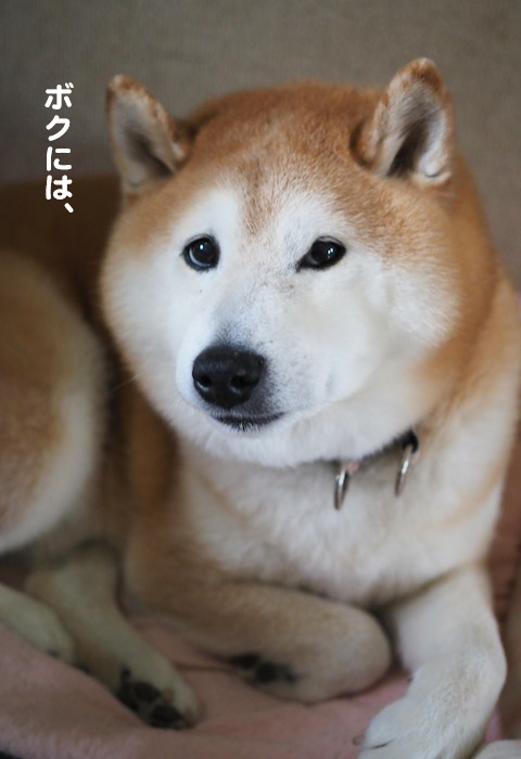 13日ブログ2