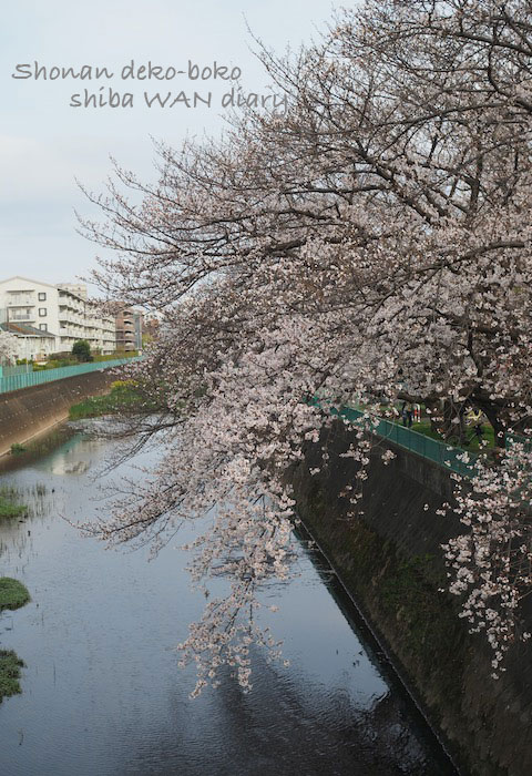 30日夕ブログ１