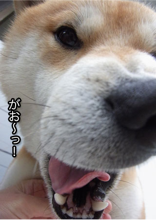 11日ブログ12.jpg