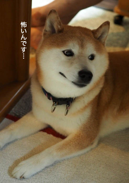 24日夕ブログ８