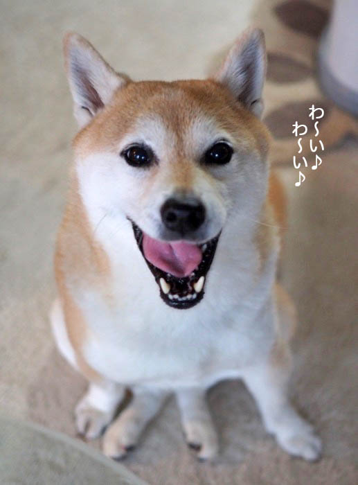 24日午前ブログ２