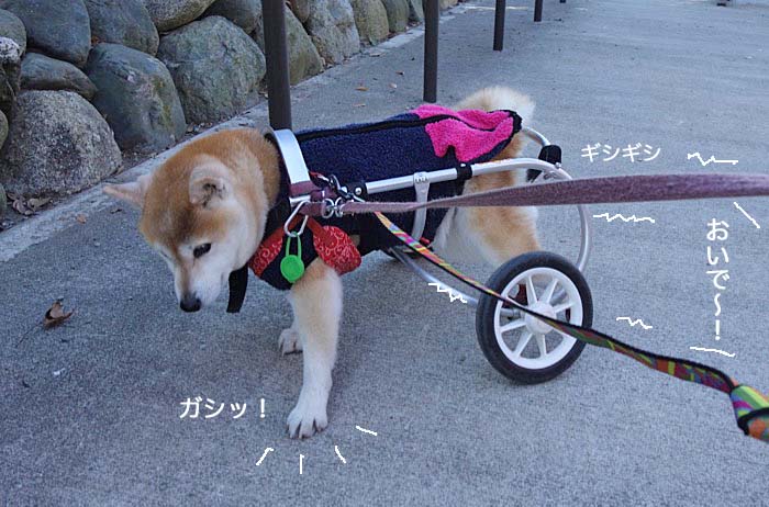 4日午後ブログ３