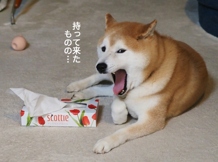 2日夜ブログ５