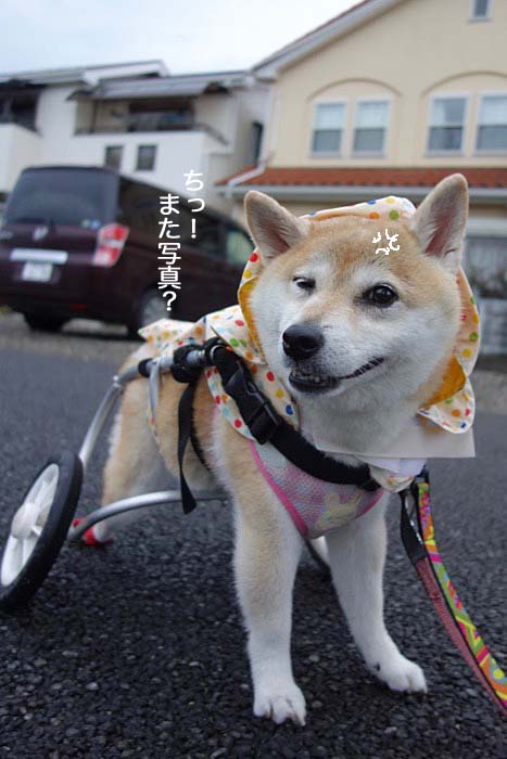 29日ブログ５