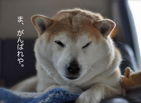 22日ブログ13.jpg