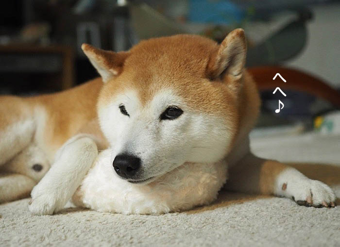 8日夜ブログ６
