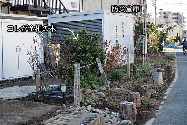 19日ブログ2