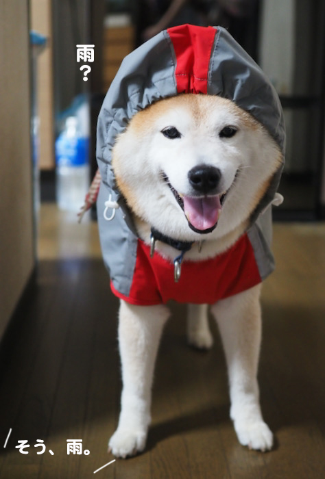 31日ブログ１