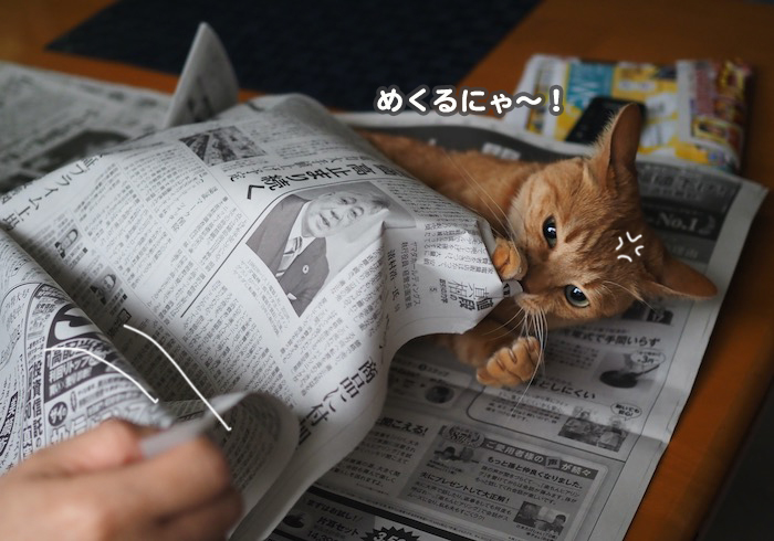 22日ブログ８