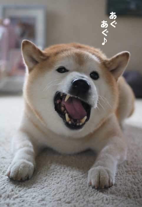 19日夕ブログ７