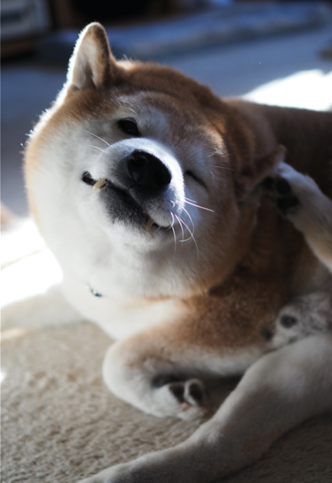 13日ブログ２