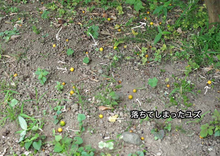 27日ブログ６