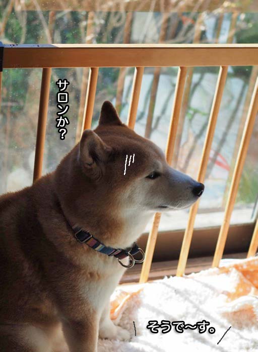 17日ブログ８