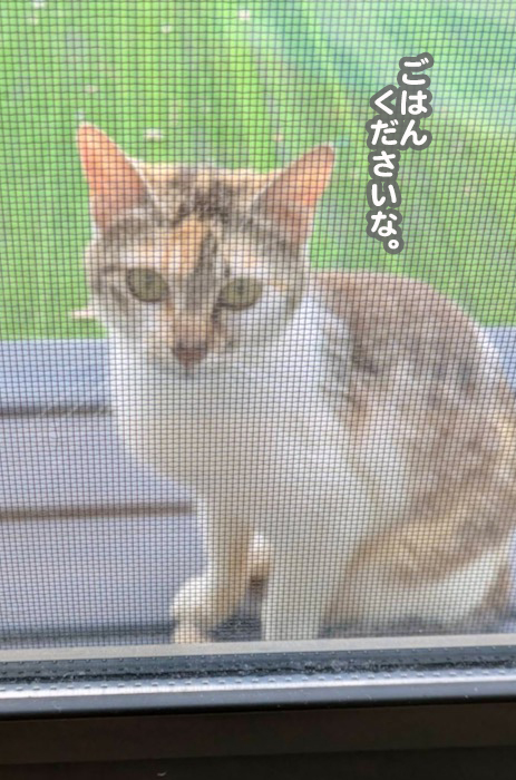 14日夕ブログ1