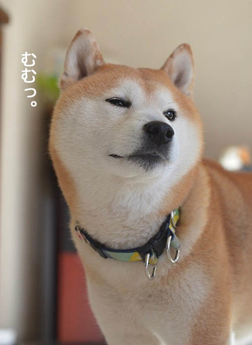 19日ブログ２