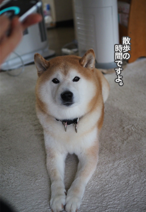 23日ブログ２