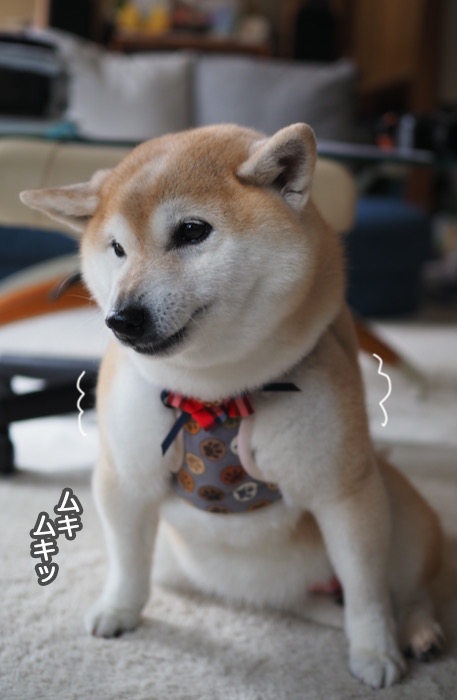 10日夜ブログ１