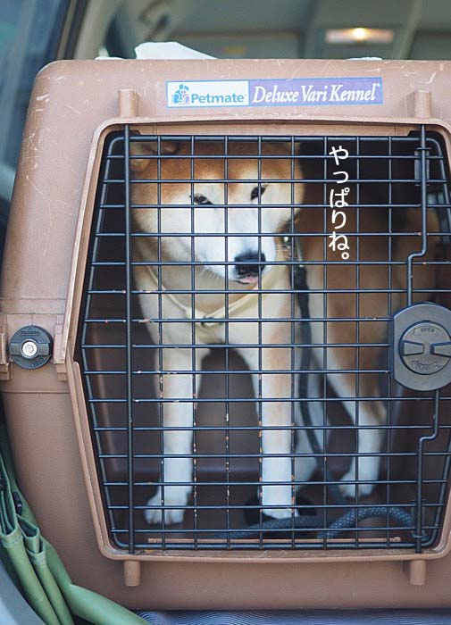 19日午後ブログ４