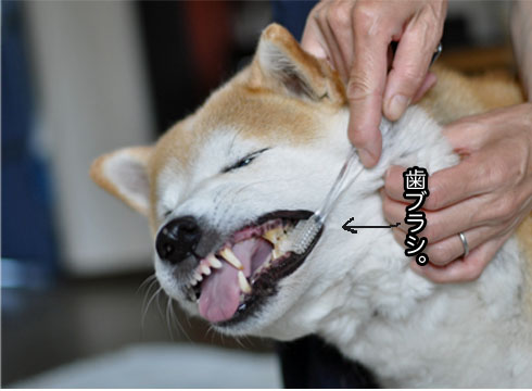 6日ブログ6.jpg