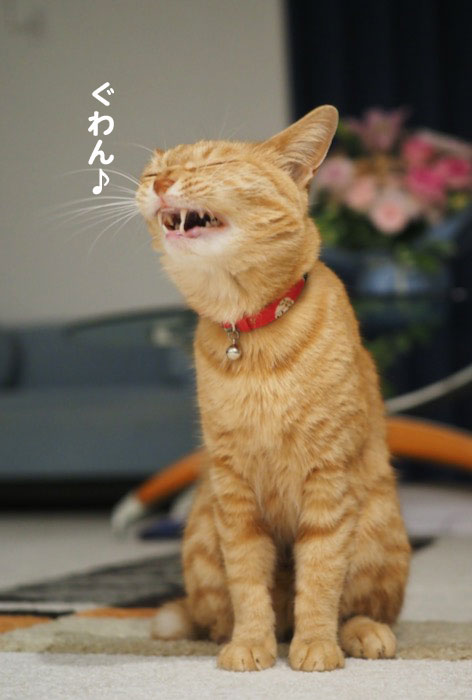 13日夕ブログ５