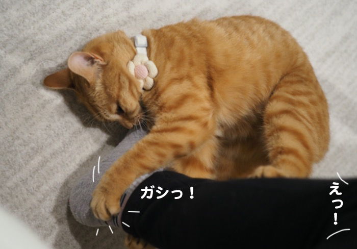 3日夕ブログ４
