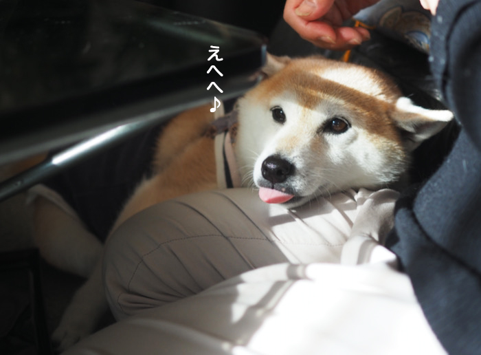 26日夕ブログ１０