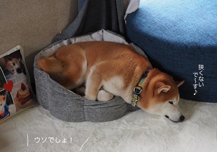 13ブログ9